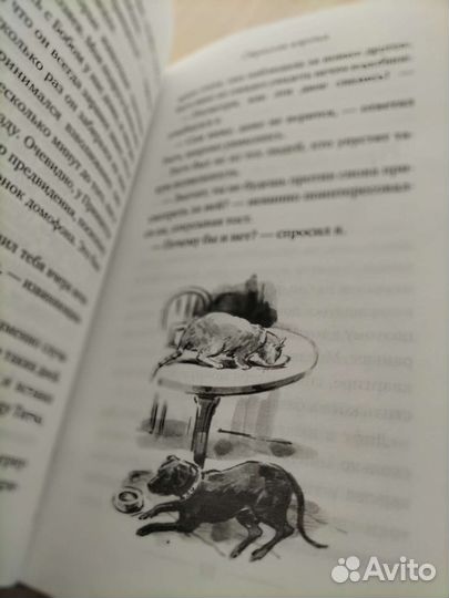 Книга уличный кот по имени Боб Джеймс Боуэн