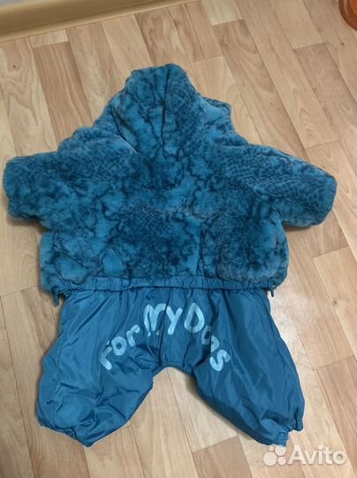 Одежда для собак