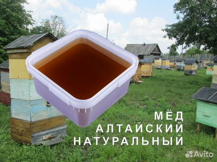 Мед натуральный с Алтая опт