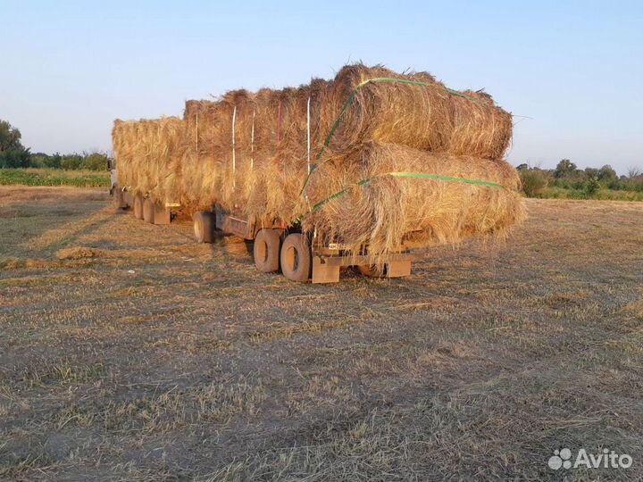 Сено в рулонах с доставкой