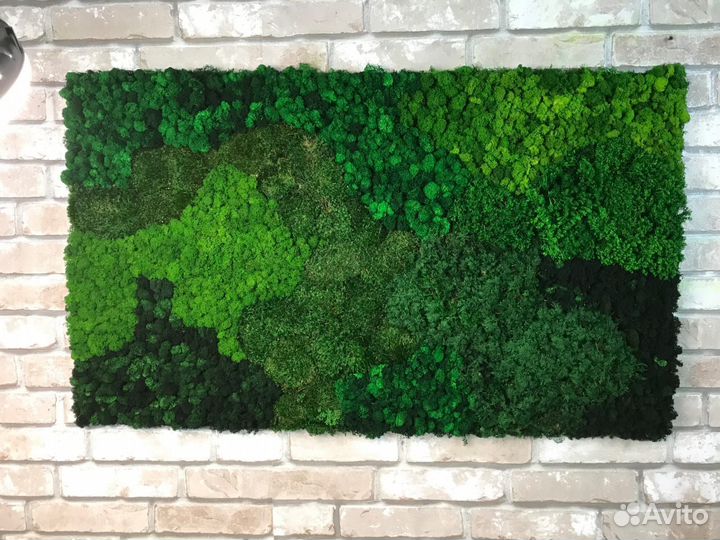 Мох стабилизированный оптом и в розницу