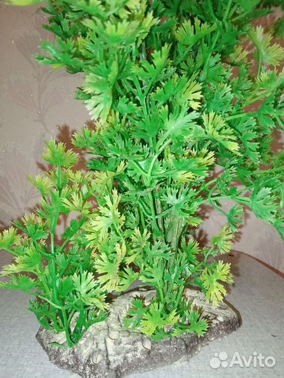 Искусственные растения в аквариум