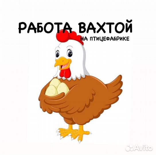 Рабочий на птицефабрику в Семикаракорске