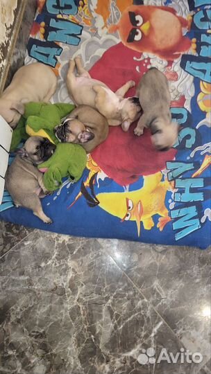 Супер детки