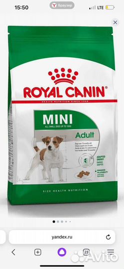 Корм для собак