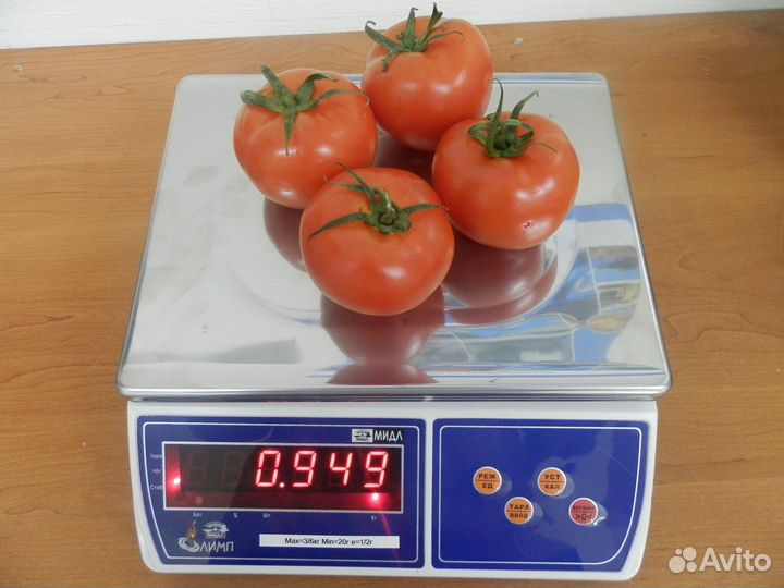 Весы фасовочные 