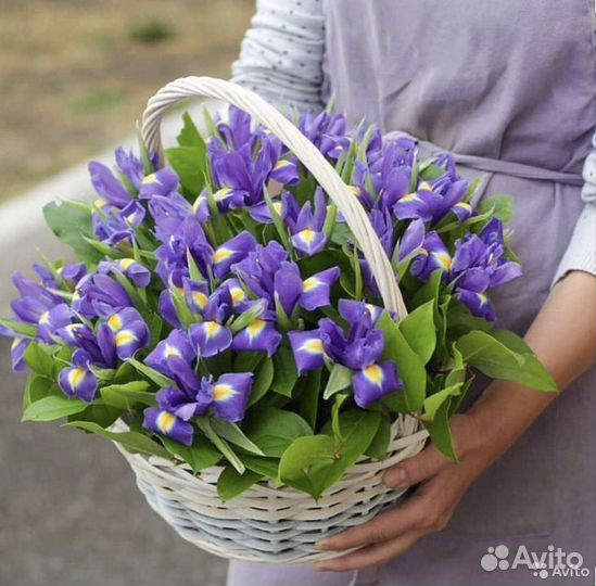 Ирисы цветы