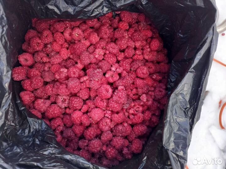 Малина замороженная
