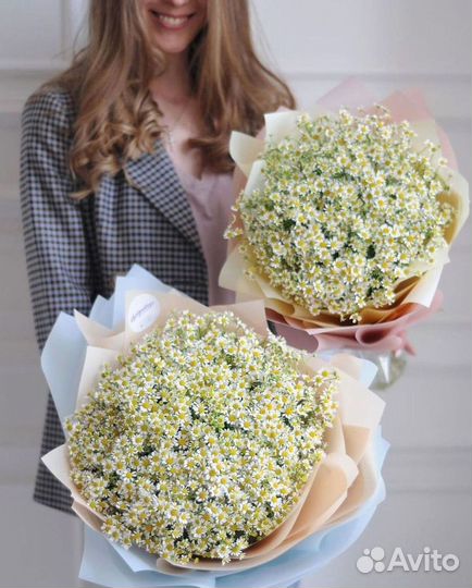 Букеты. Доставка ромашек