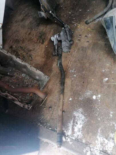 Гур баф феникс