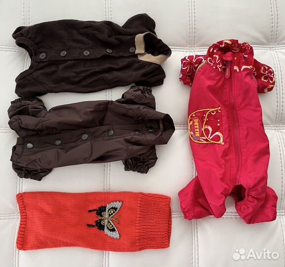 Одежда для маленькой собаки