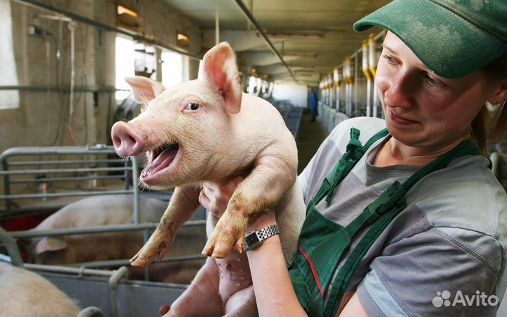 Сотрудник по уходу за животными на жвк