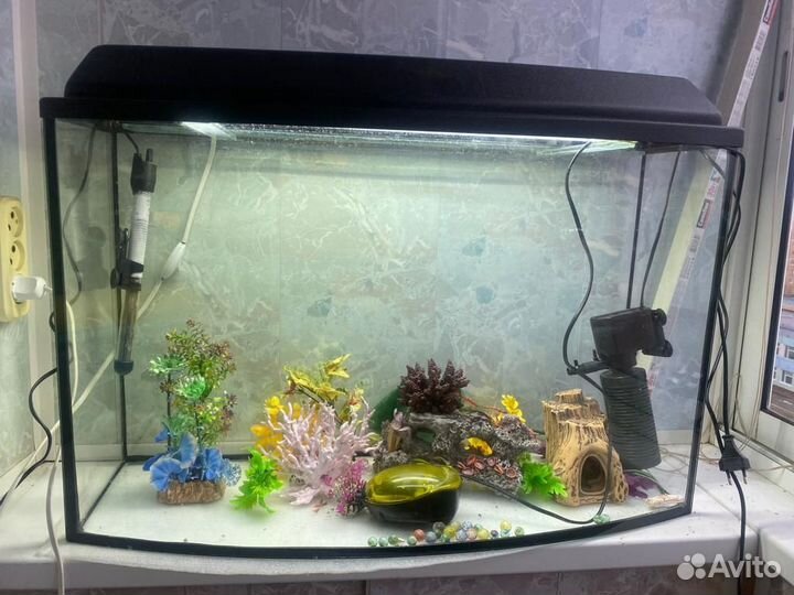 Аквариум