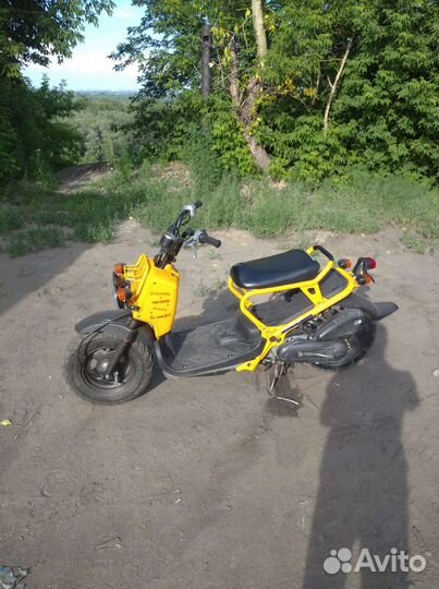 Honda zoomer 49