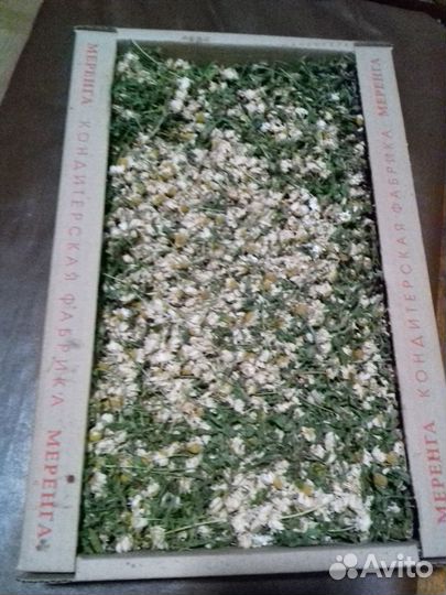 Сухие лечебные травы