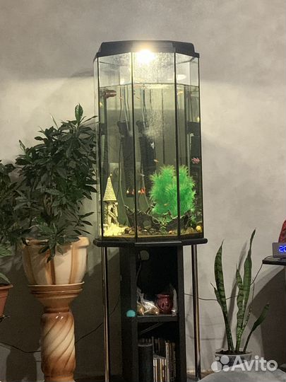 Аквариум стакан 130 л
