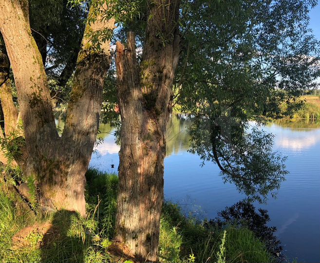 Участок 15 сот. (ИЖС)