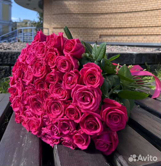 Высокие розы Голландия 60 см. Бесплатная доставка