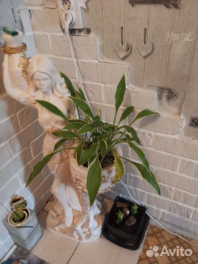 Статуя девушки