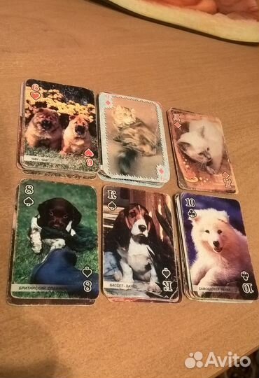 Игральные карты Кошки/собаки, Ragnarok