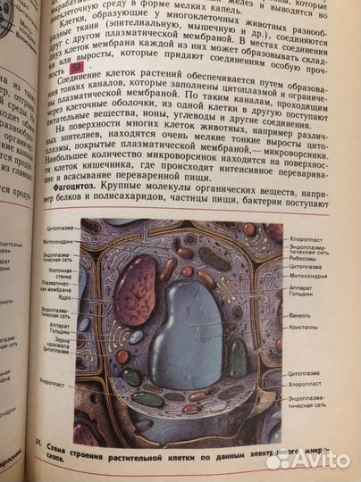 Советский учебник общей биологии Полянский 10 11