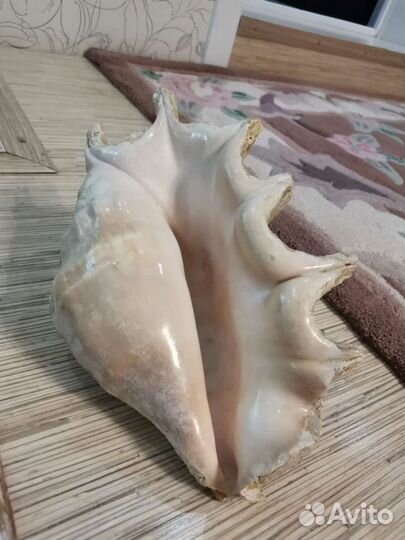 Продам для аквариума украшения