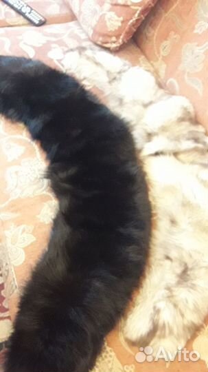 Отличные песцовые шапки и горжеткиЭнергетик