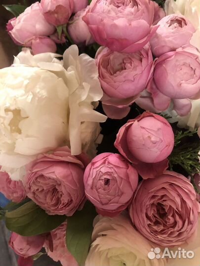 Уютная Студия Цветов в центре города