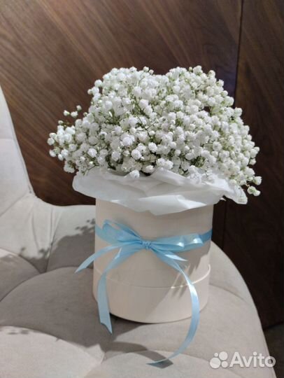 Гипсофила в коробке