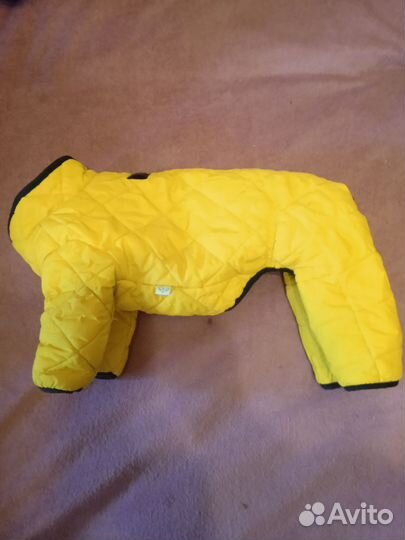 Комбинезон для маленькой собаки