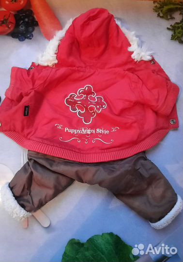 Комбезики тёплые для собак мелких пород