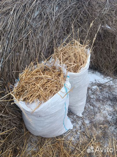 Солома в тюках