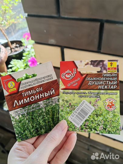 Тимьян (чабрец)