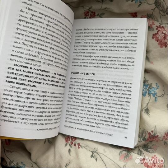 Книга каменное лицо, чёрное сердце