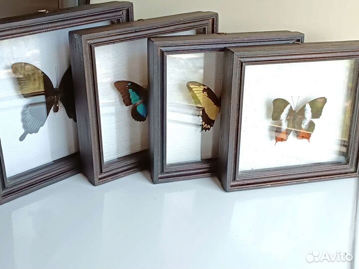 Рамка для панно, картин, жуков, бабочек