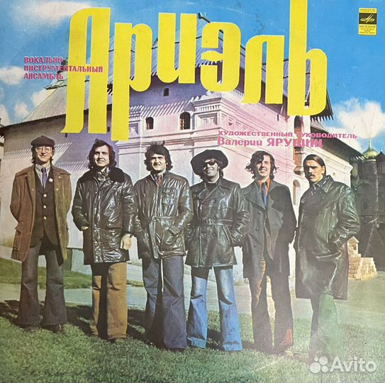 Виниловые пластинки