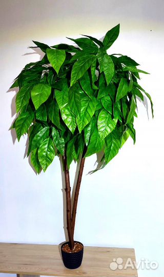 Дерево Манго искусственное