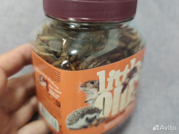 Мучной червь Little One. Лакомство для грызунов