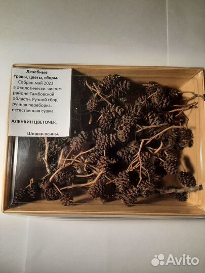 Шишки ольхи, лист ольхи, серёжки ольхи