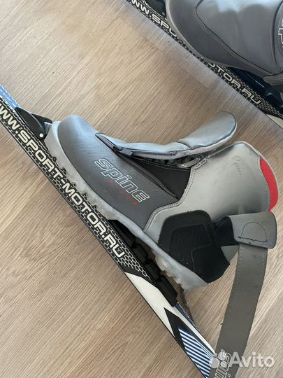 Беговые лыжи