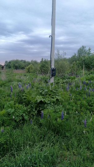 Участок 12,5 сот. (СНТ, ДНП)