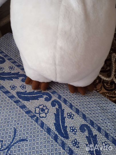 Пингвин мадагаскар