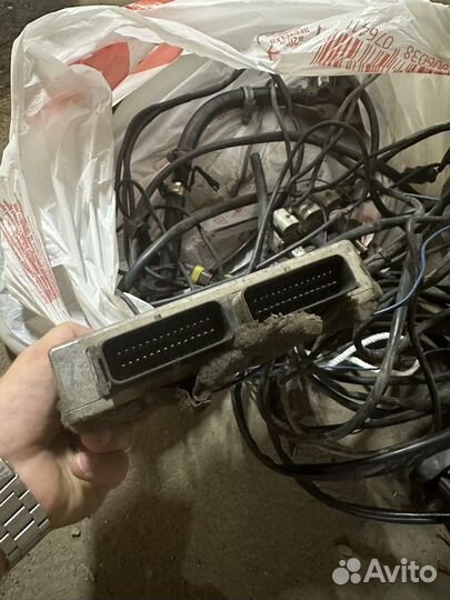 Гбо Tamona мозги и проводка