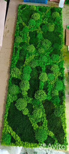 Панно из стабилизированного мха, продажа мха