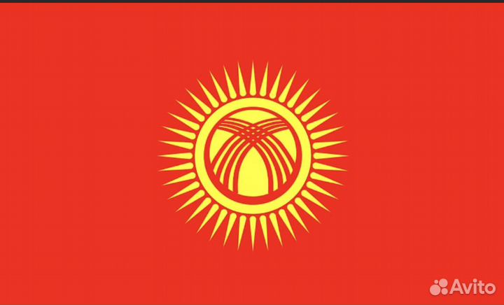 Гражданство Кыргызстана (Киргизии)