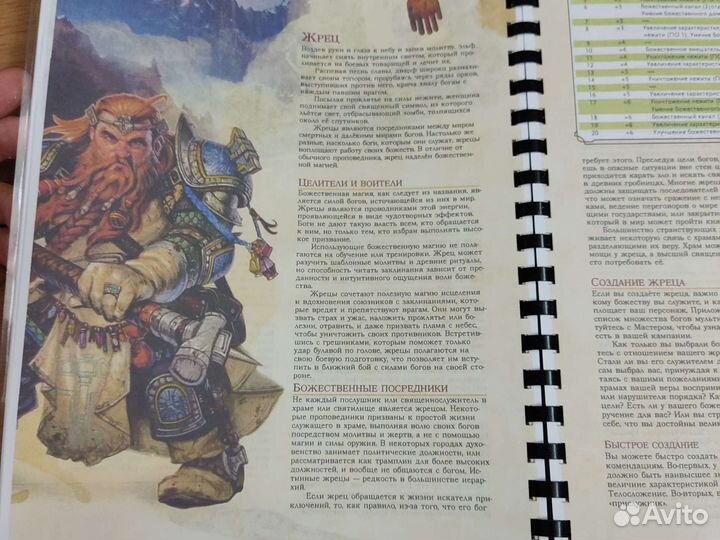 Книга игрока dnd новая