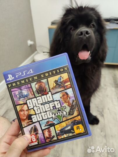 Gta 5 ps4