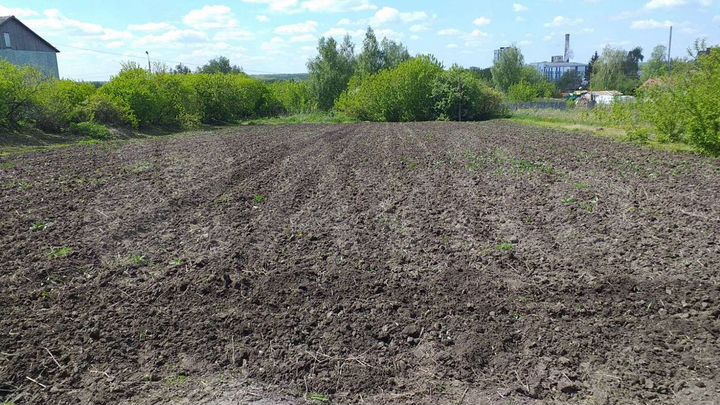 Участок 23 сот. (СНТ, ДНП)
