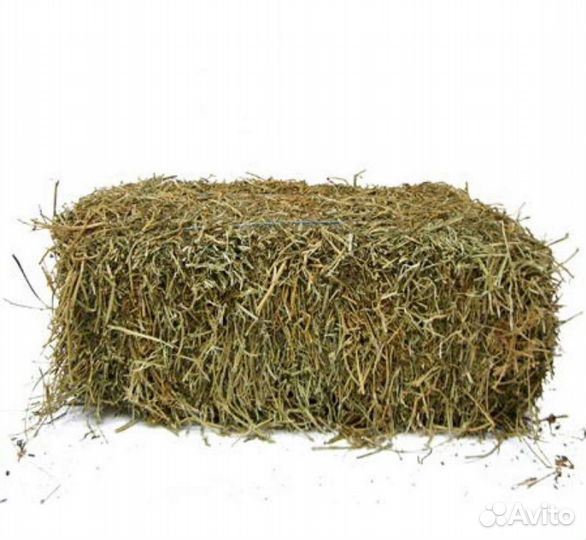 Продаю сено солому в брикетах