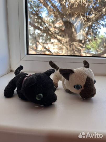 Кошки the cat collection